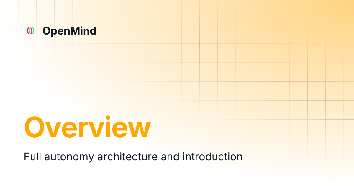 Overview | OpenMind